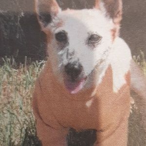 Meet your Posher, Kathy